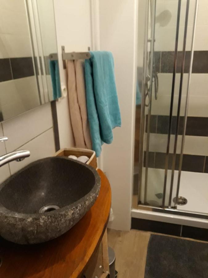 Le Langevin - Appartement Troyes Centre ภายนอก รูปภาพ